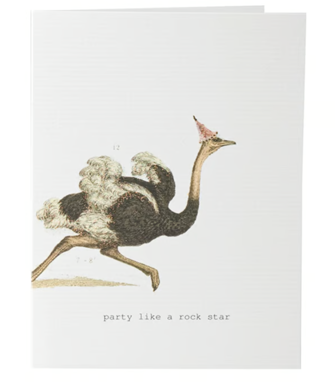 PARTY LIKE A ROCK STAR GREETING CARD