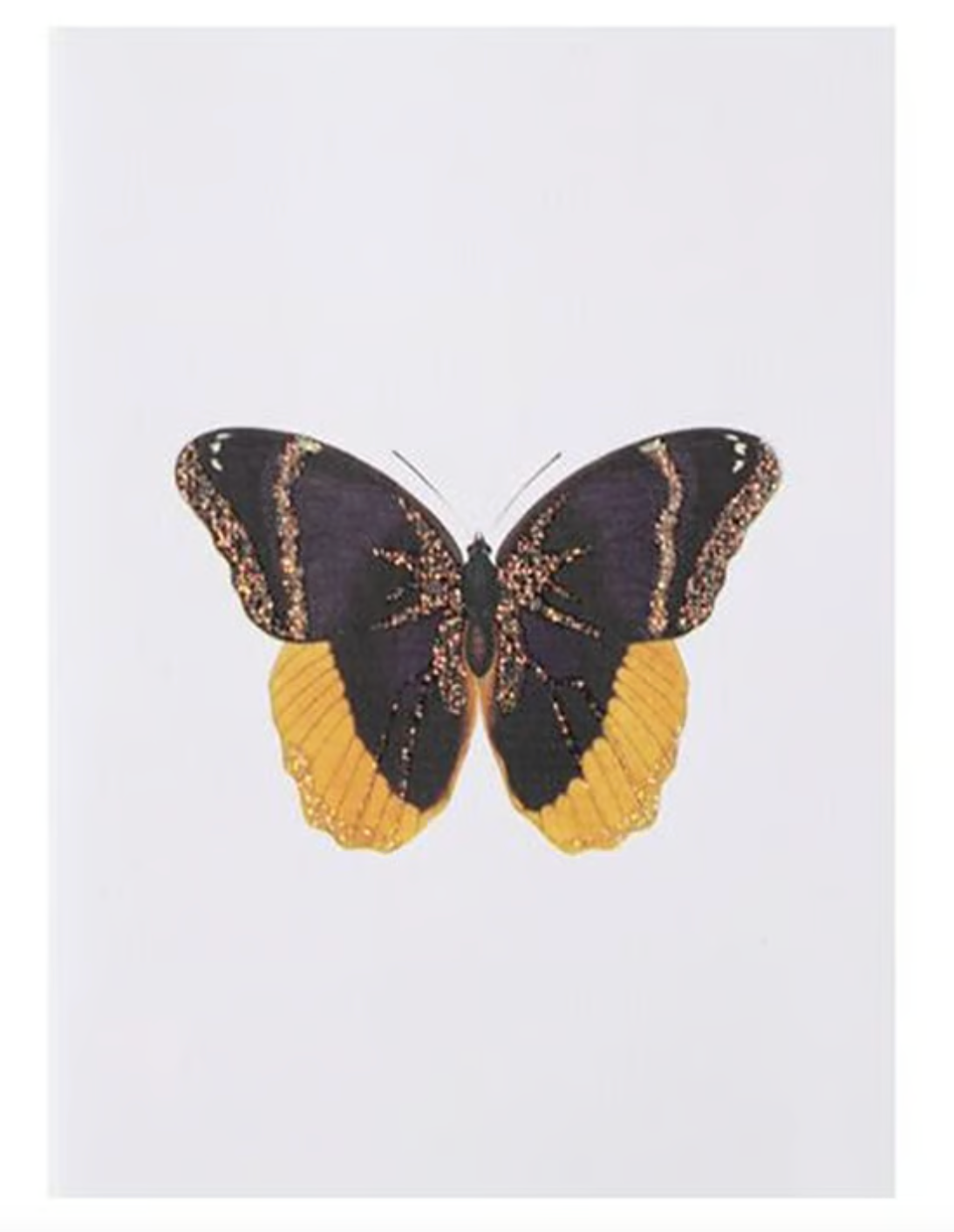 BUTTERFLY GREETING CARD