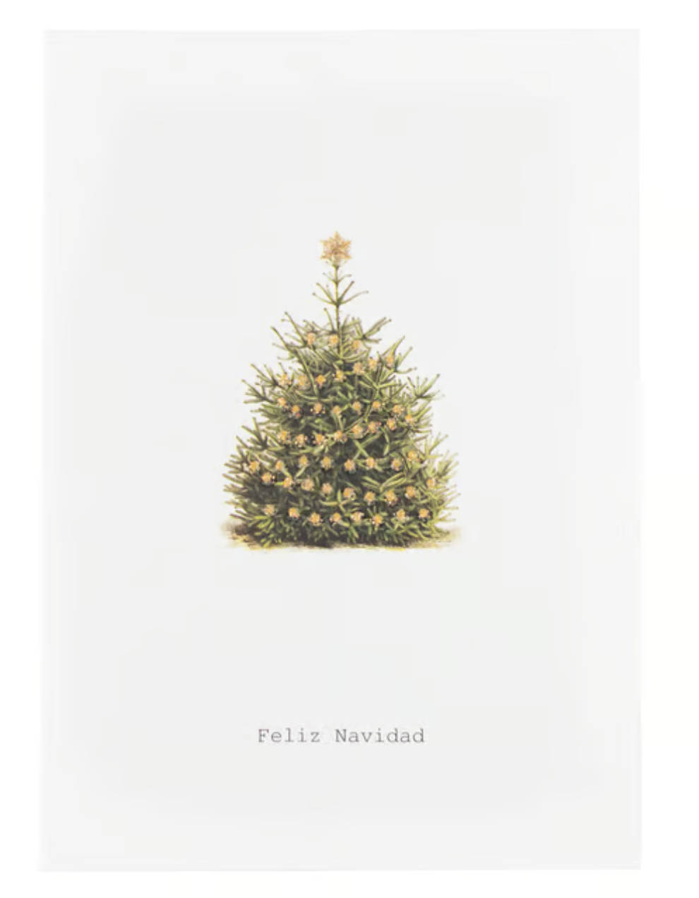 FELIZ NAVIDAD GREETING CARD