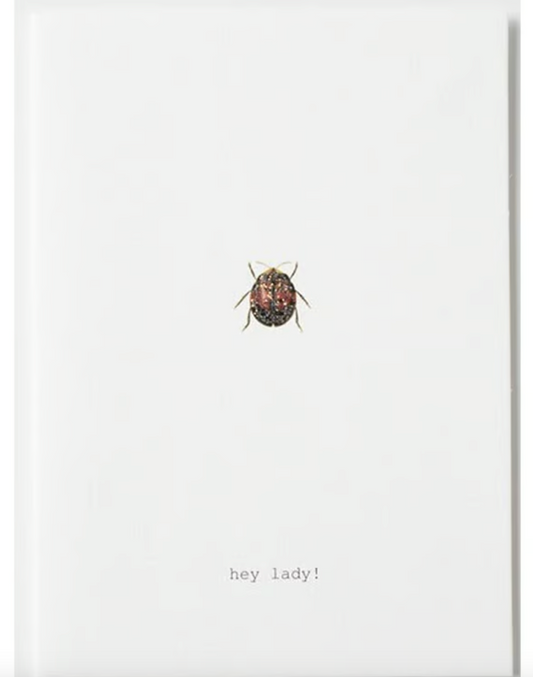 HEY LADY GREETING CARD