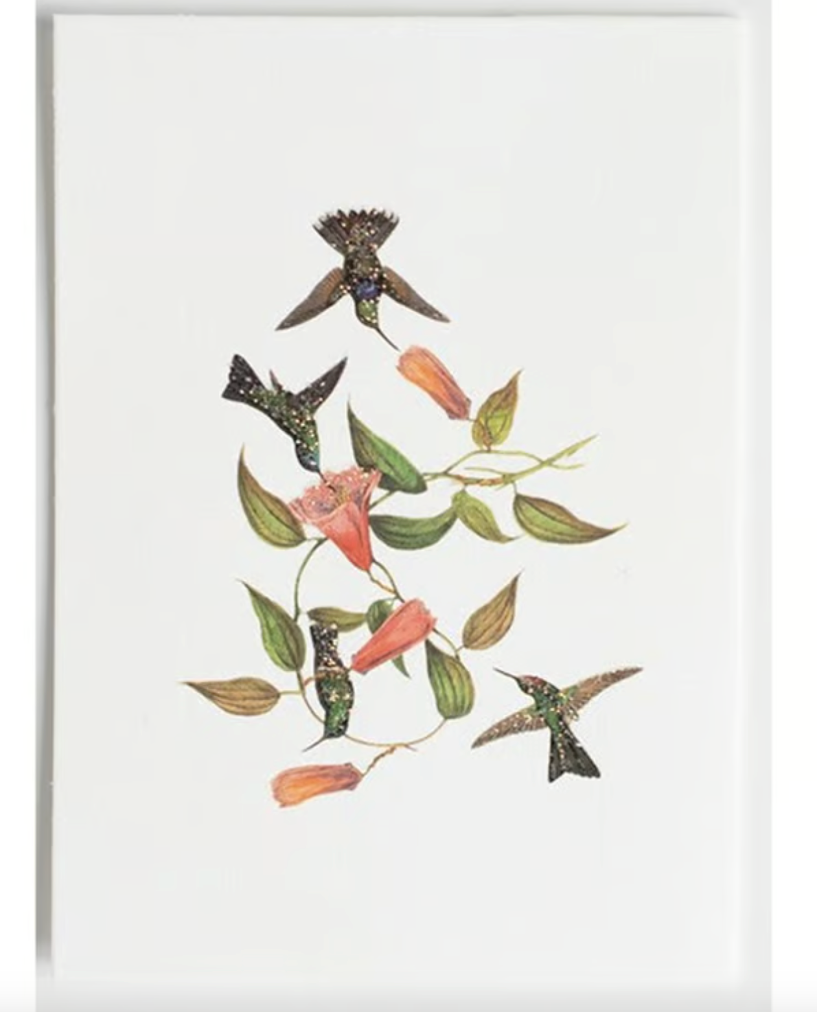HUMMING BIRDS GREETING CARD