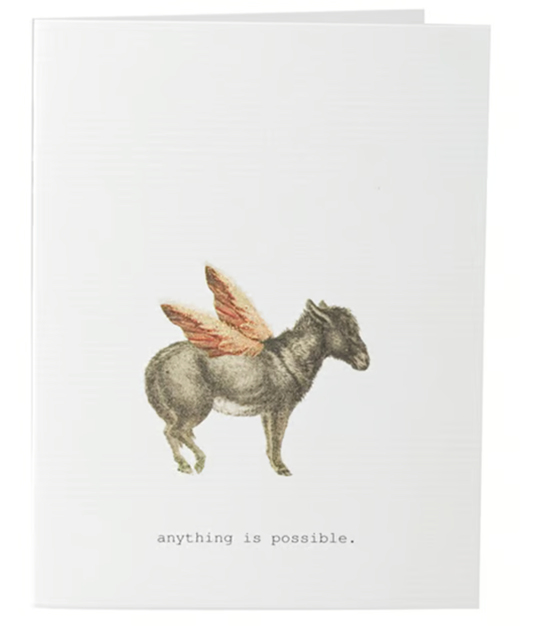 ANYTHING'S POSSIBLE GREETING CARD