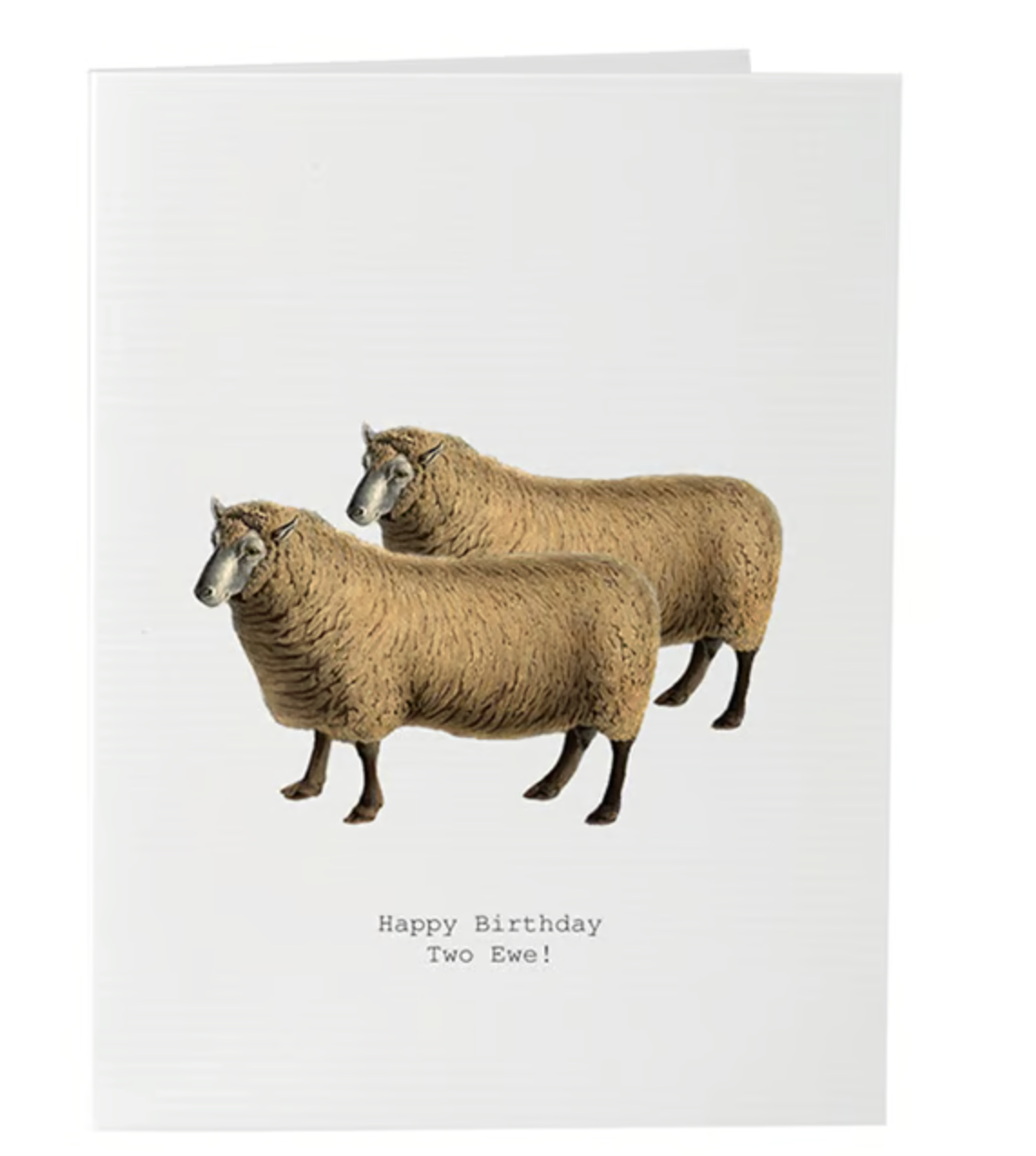 HAPPY BIRTHDAY TWO EWE GREETING CARD