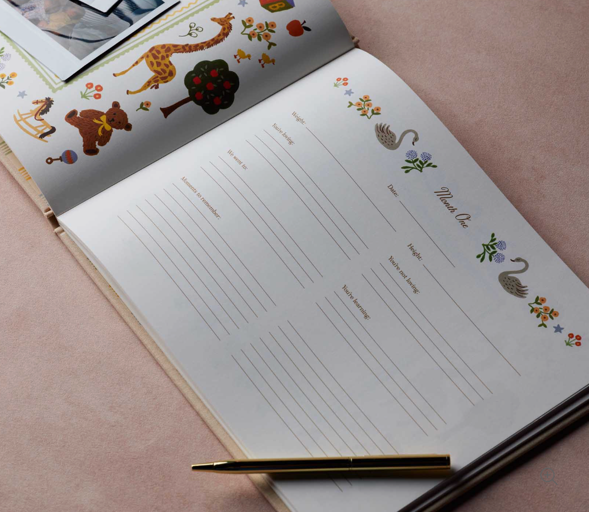 Embroidered Baby Book