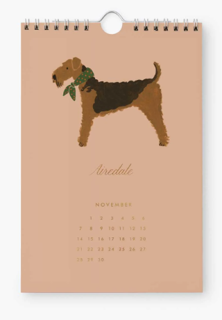 2027 Dog of the Month Kitchen Calendar