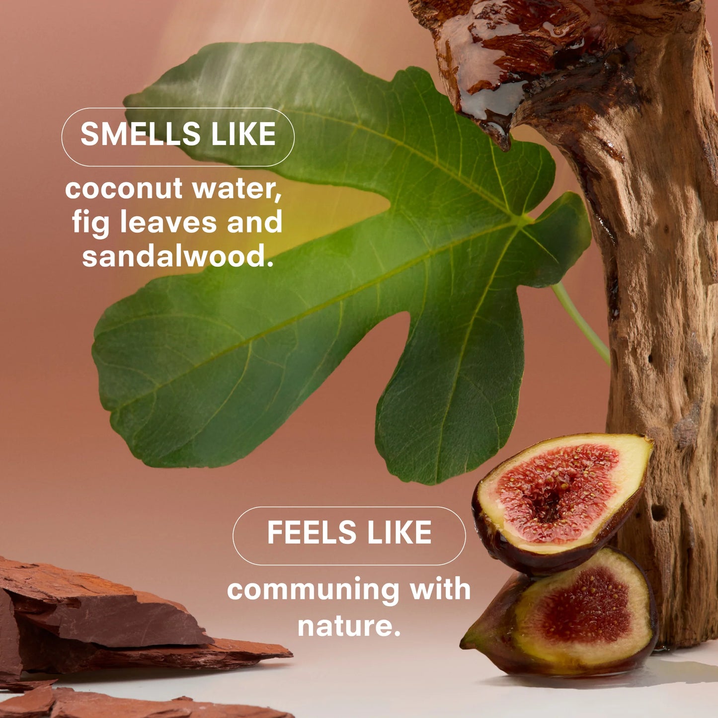 WOODPHORIA CANDLE- 8.5 oz.