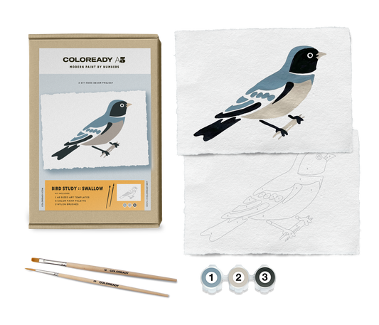 BIRD STUDY : SWALLOW