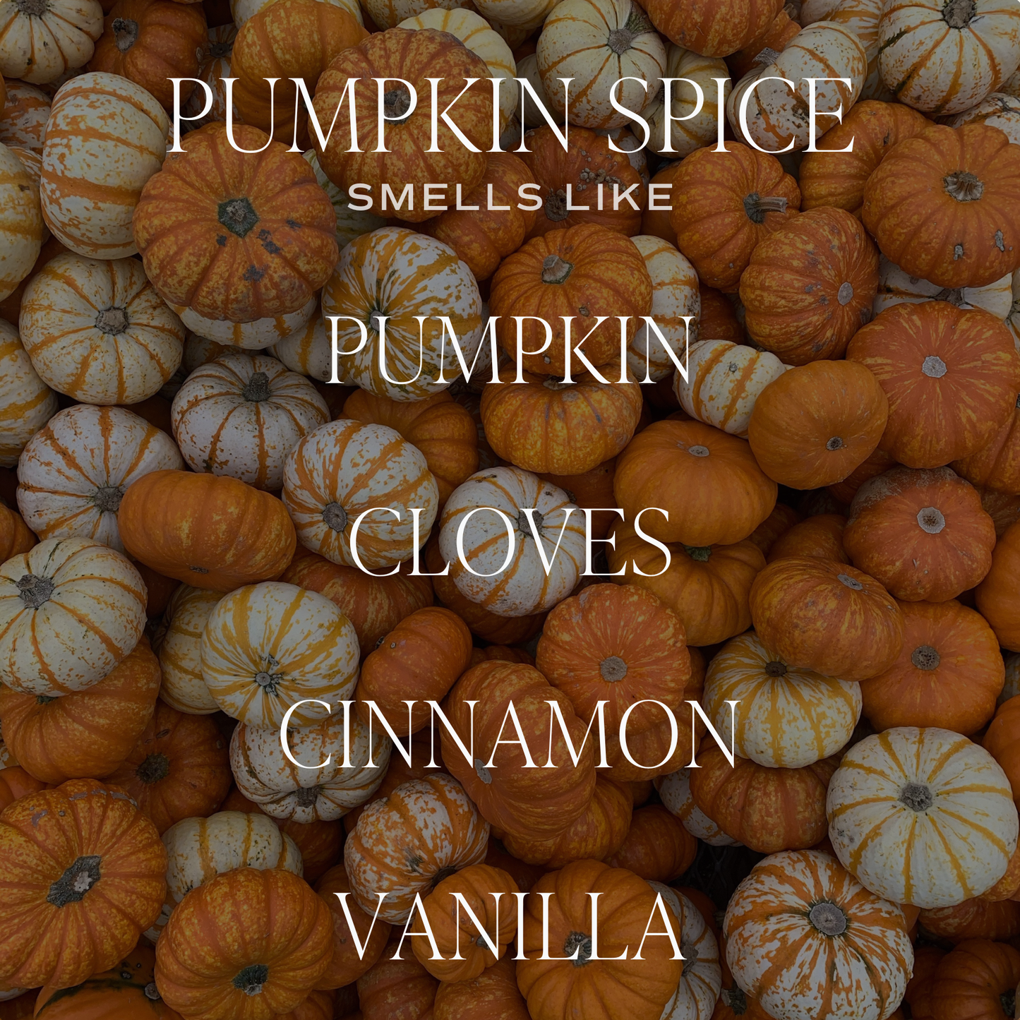 Pumpkin Spice 9 oz Soy Candle