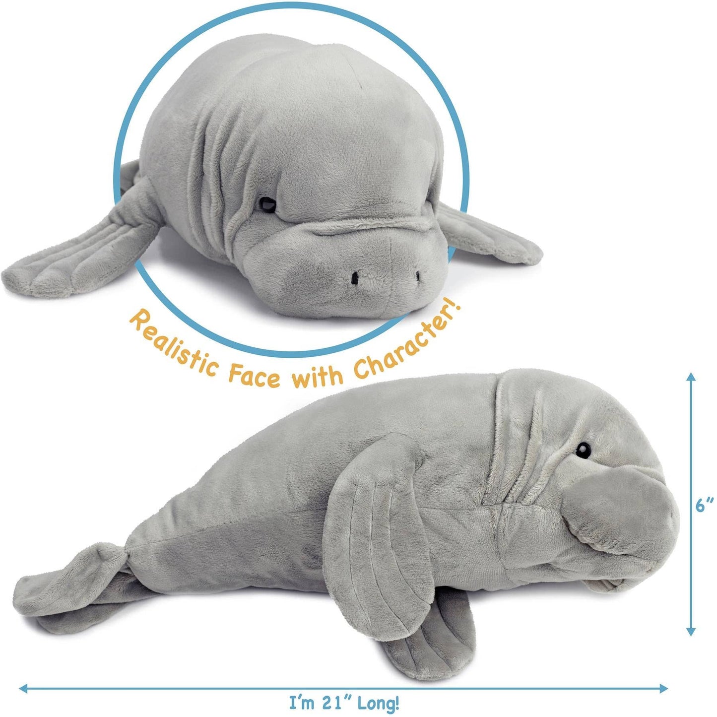 Morgan The Manatee