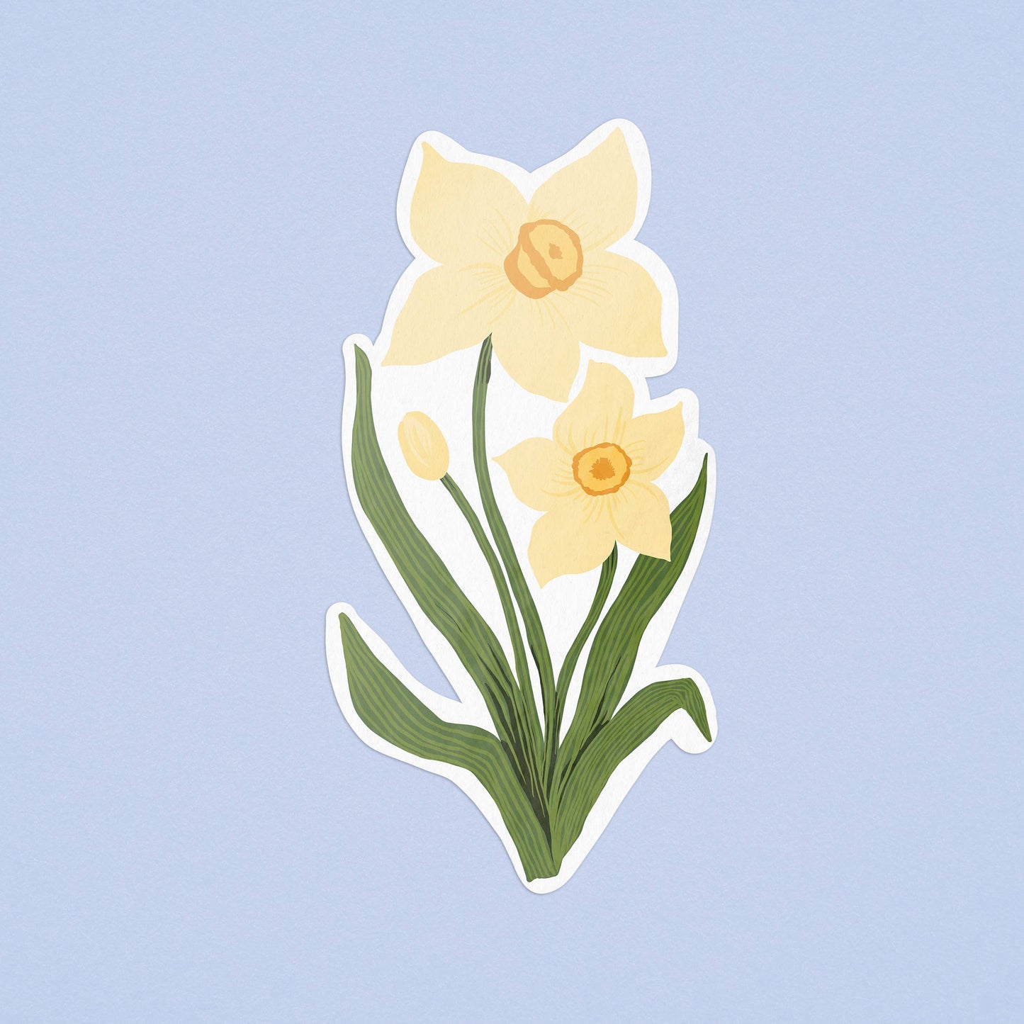 Daffodils Illustrated Sticker