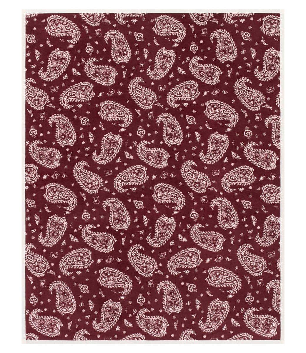Palmer Paisley Blanket: Original