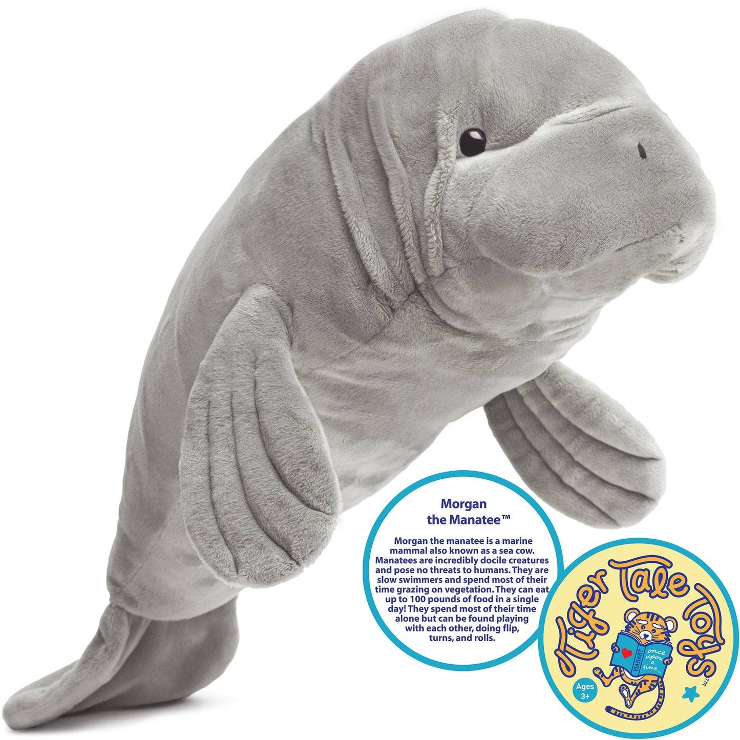 Morgan The Manatee