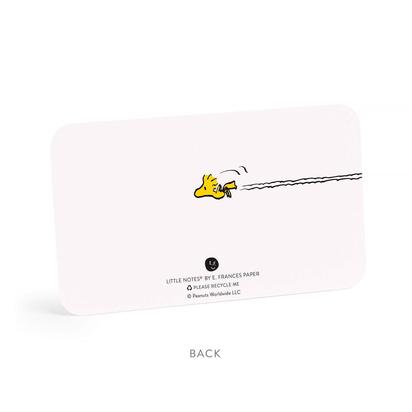 E. Frances x Peanuts™ Snoopy Dog House Little Notes®