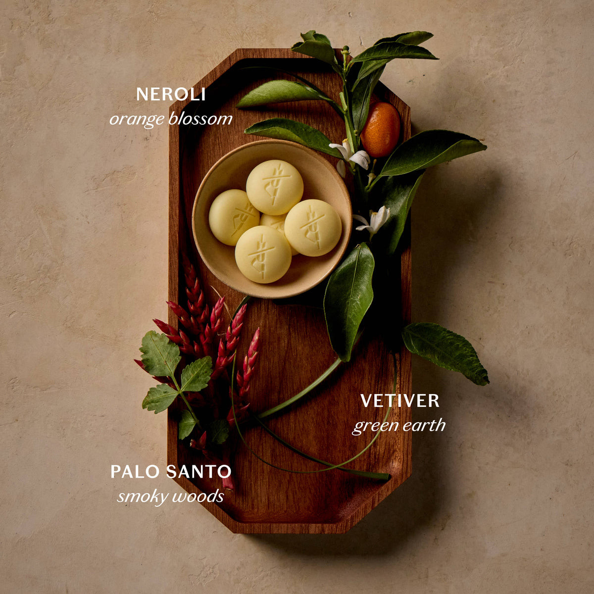 Palo Santo & Vetiver Pebble | Bath & Shower Oil: Tray of 20