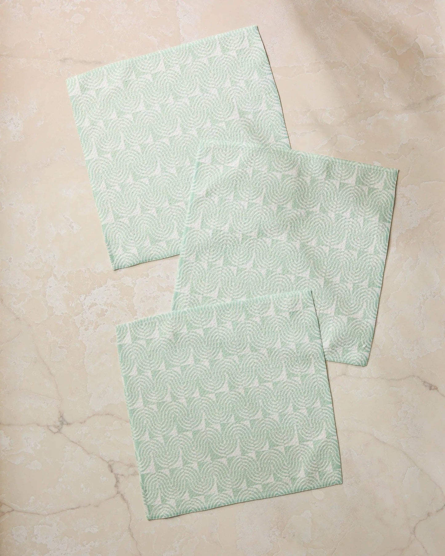 Swirl Land Dishcloth Set