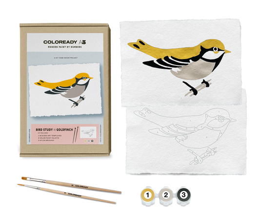BIRD STUDY : GOLDFINCH