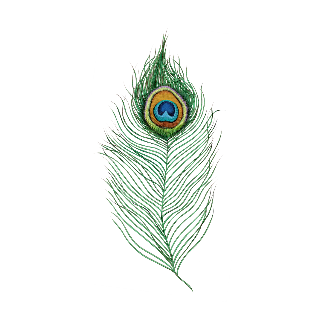Peacock Feather Tattoo