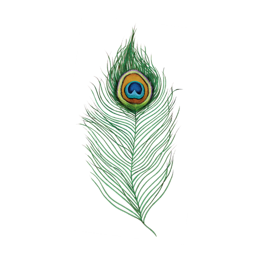 Peacock Feather Tattoo