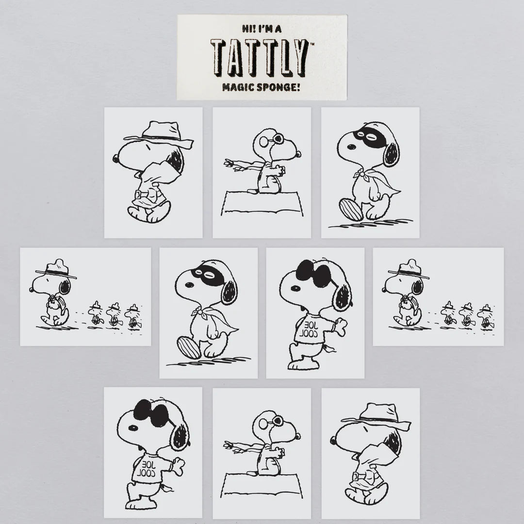 Many Faces of Snoopy Tiny Tin